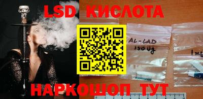 прущие грибы Коммунар
